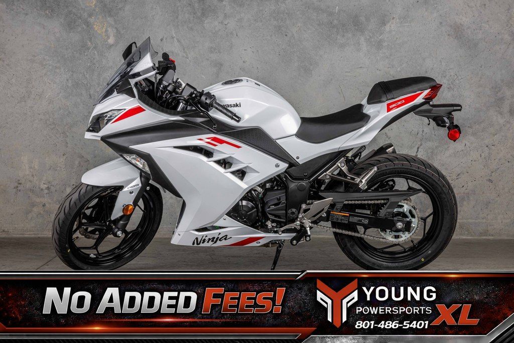 2026 Kawasaki EX300GTFNL