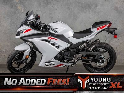2026 Kawasaki EX300GTFNL