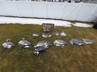 10 dozen big als silos