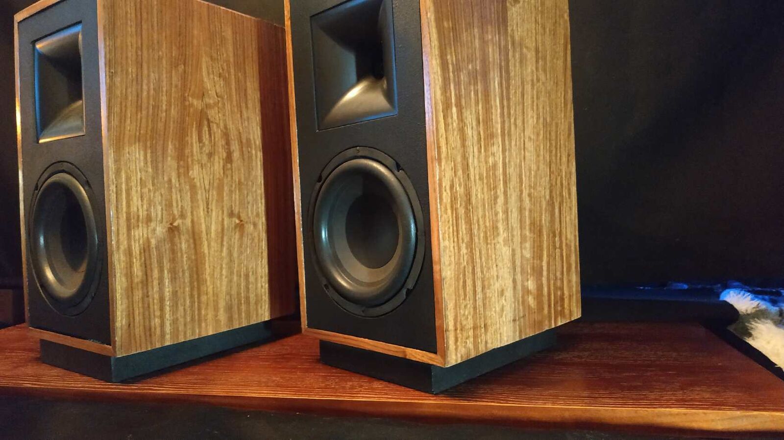 Audiophile Speakers. Handmade bookshelf speakers with artwork.
