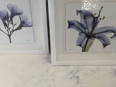 Floral Prints Beautiful Purple