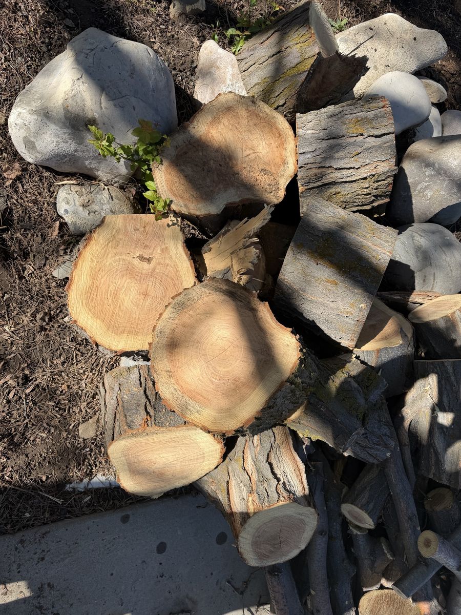 Firewood