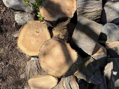 Firewood