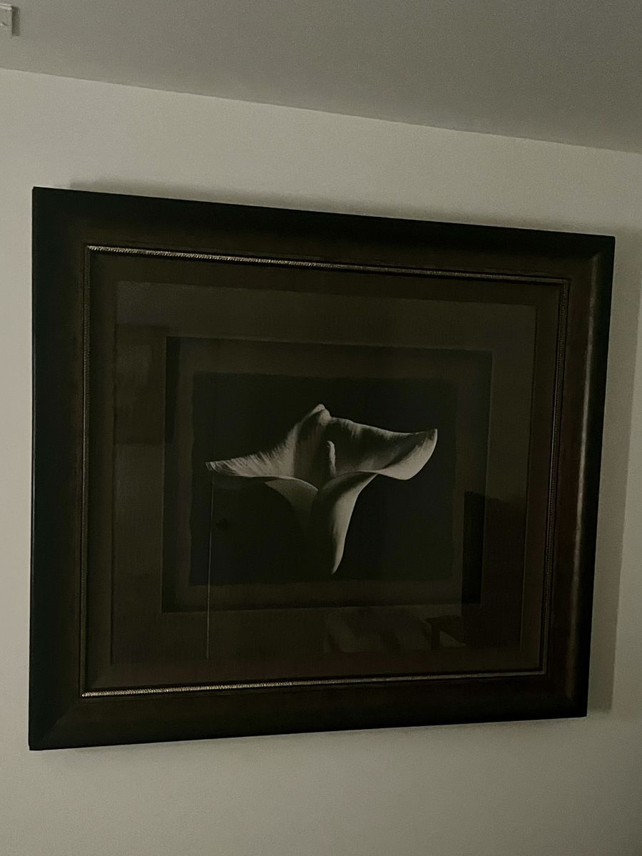 High End Professionally Framed Calla Lily Print