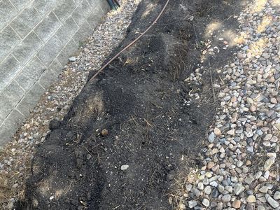 Organic Garden Topsoil - Enriched for Planting & Landscaping Projects