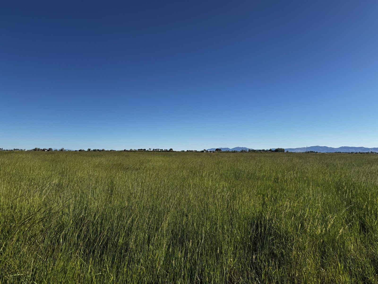 Main image 10