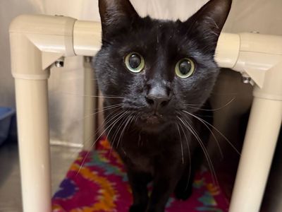 Hello my name is Tony