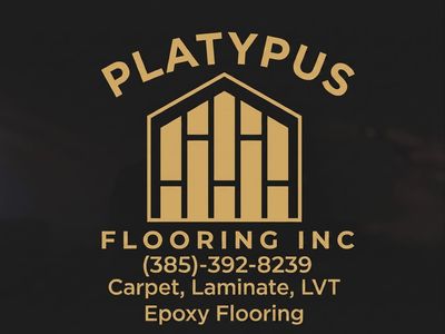 Expert Carpet Repair | Vinyl | Laminate | Epoxy Flooring | LVP | Concrete Coatings | Platypus Flooring