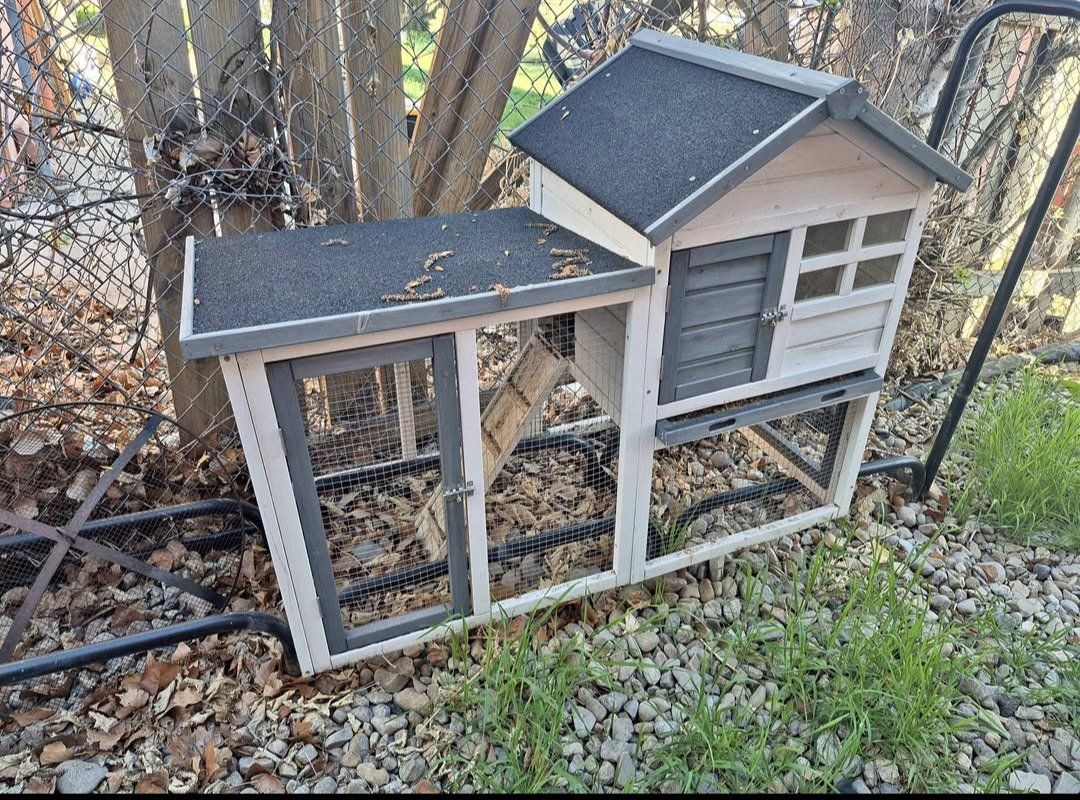 Chicken  Rabbit house