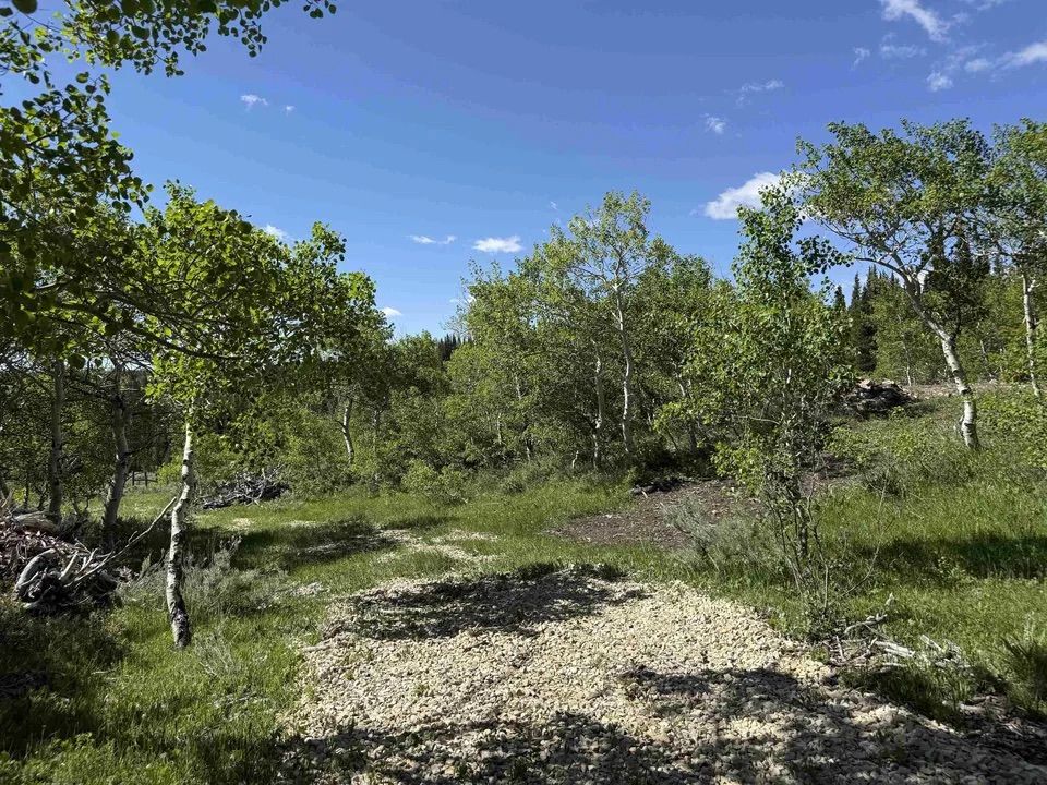 Main image 8