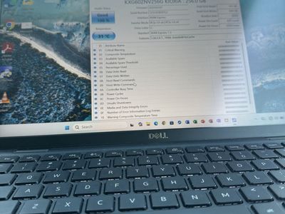 Dell Rapid Laptop i7 Core 11th Gen 16 GB RAM 256 GB SSD