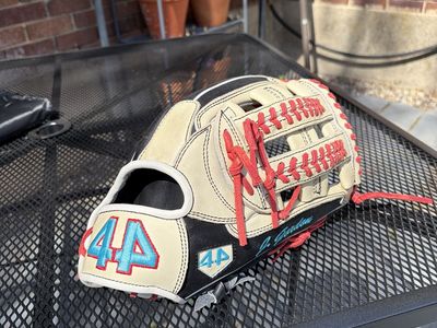 Brand New 44 Pro Custom Softball Glove