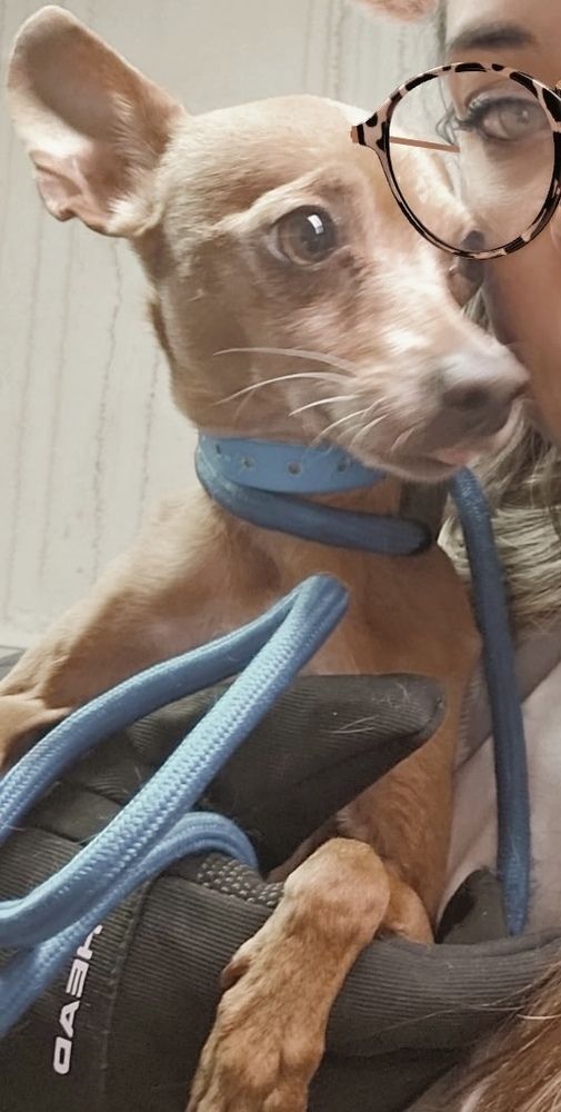 Marco- 4lbs of Get off my Lawn
