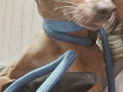 Marco- 4lbs of Get off my Lawn
