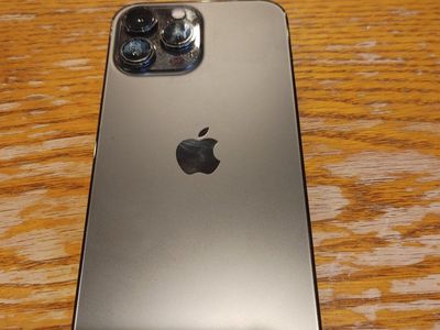 Apple iPhone 13 Pro Max Model A2484 Graphite Gray - Unlocked Smartphone with Floral Case