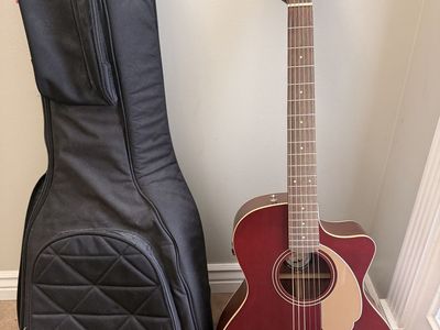 Fender newporter guitar