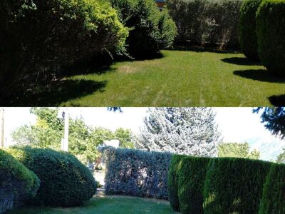 Sod Installation | Landscaping | Tree Trimming | Sprinkler Repair & Installation | And More!