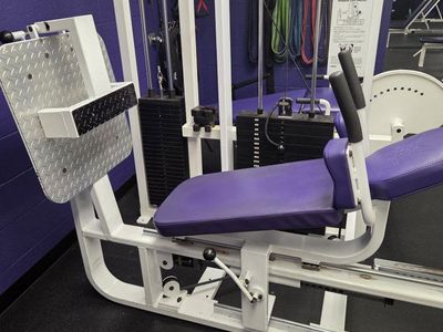 Commercial Seated Leg Press Machine - 500lb Stack, Adjustable Seat, White/Purple