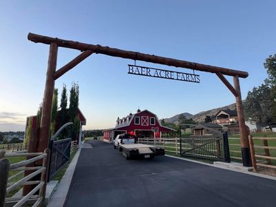 Premium Clean Grass Hay Summer Cut - Cache Valley