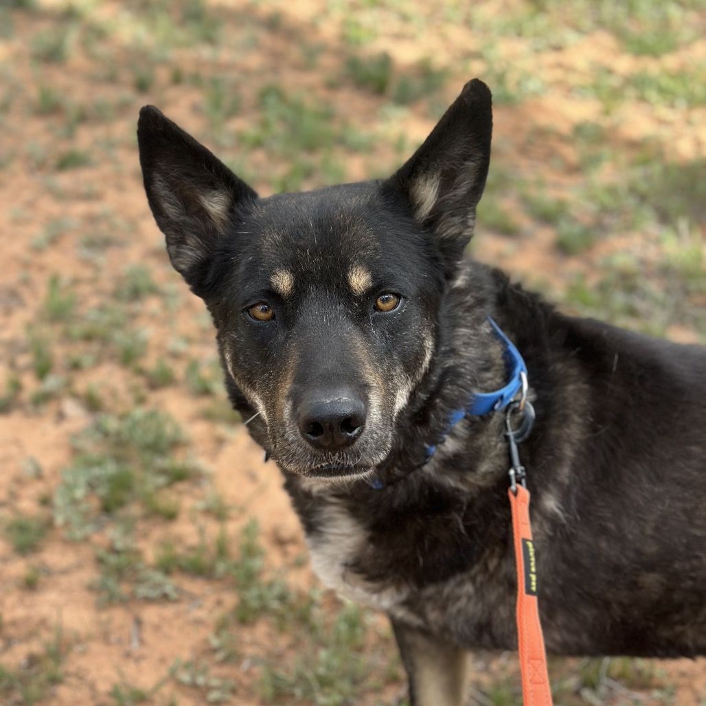 Hello my name is Leon