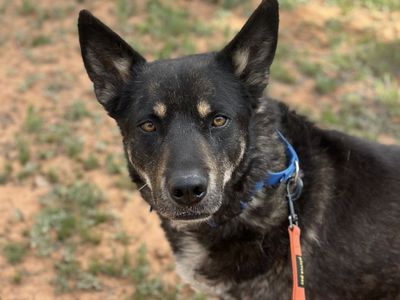 Hello my name is Leon