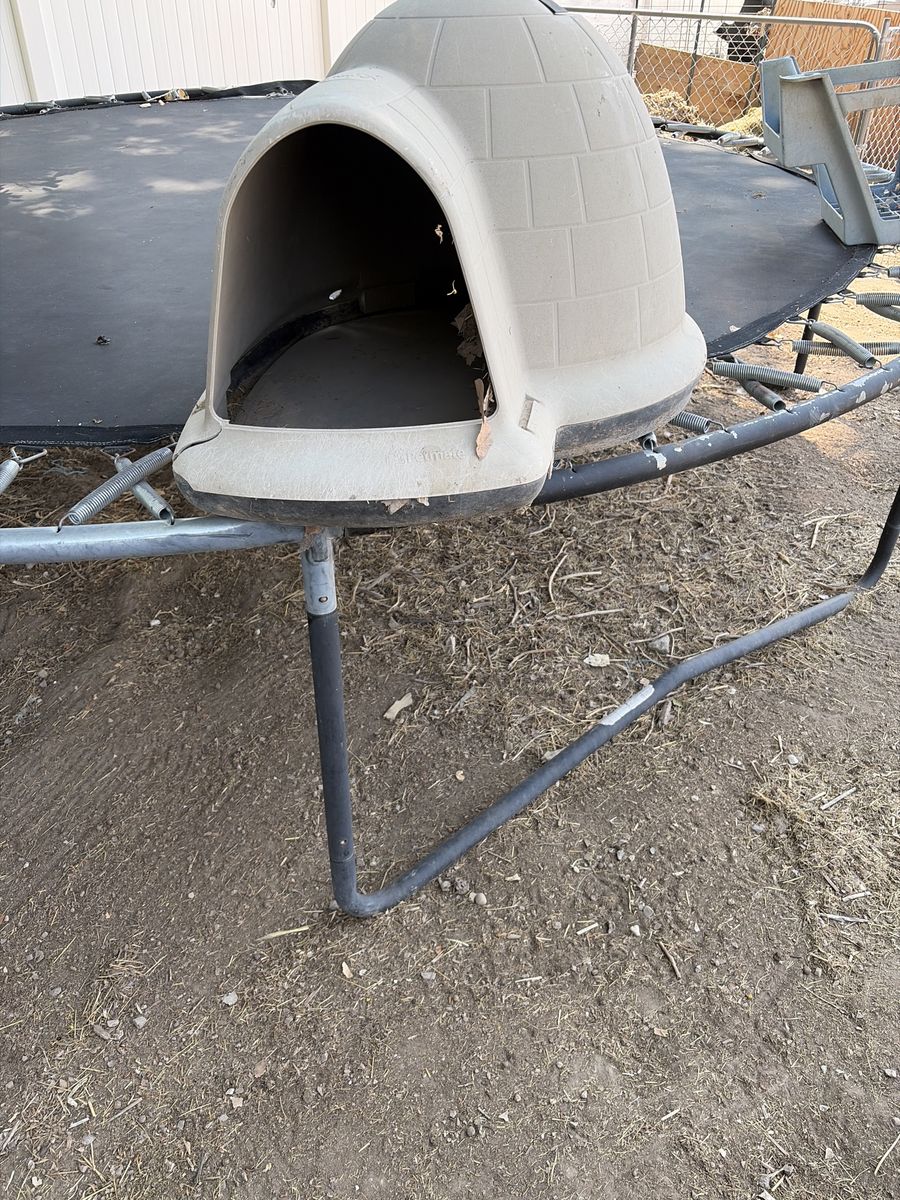 Free igloo dog house