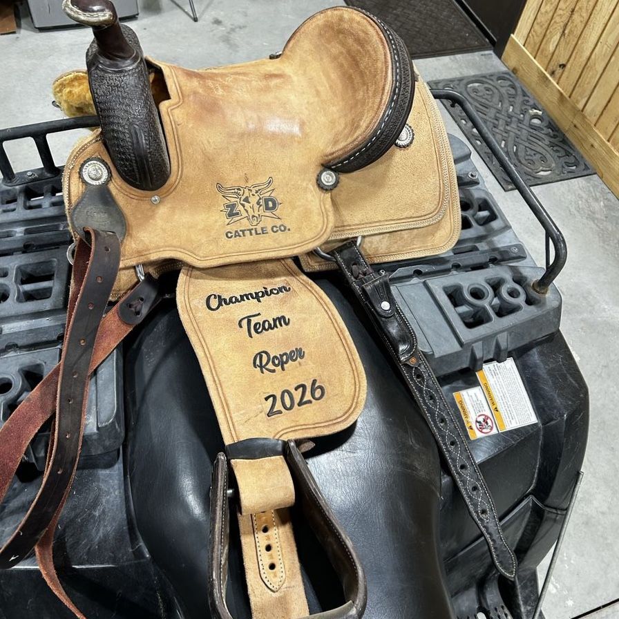 15’’ saddle
