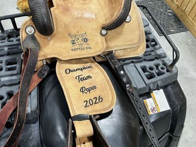 15’’ saddle