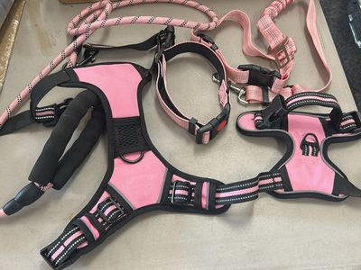 Pink Dog Harness, Collar, and Leash Set with Reflective Stitching