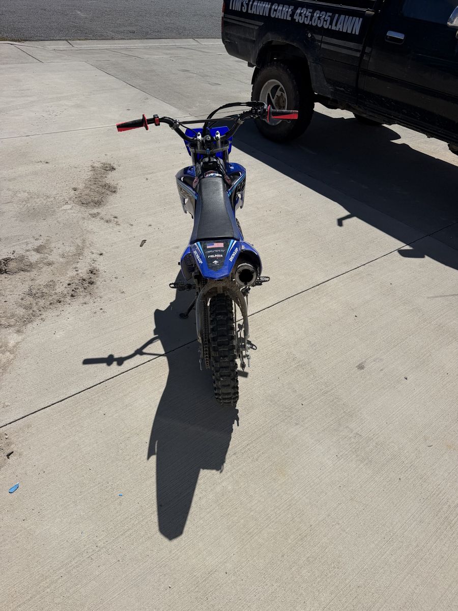 2011 Yamaha ttr110