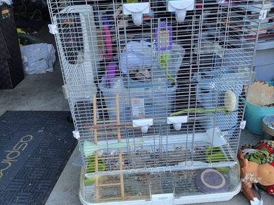 bird cage