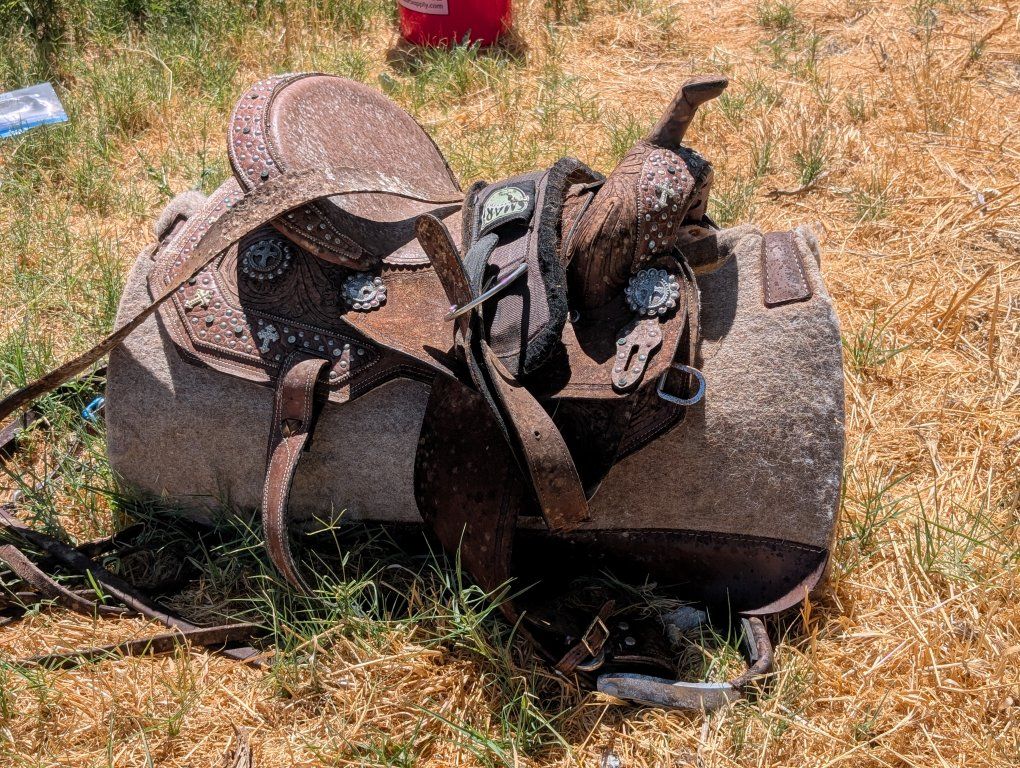 Saddle