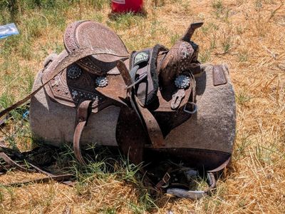 Saddle