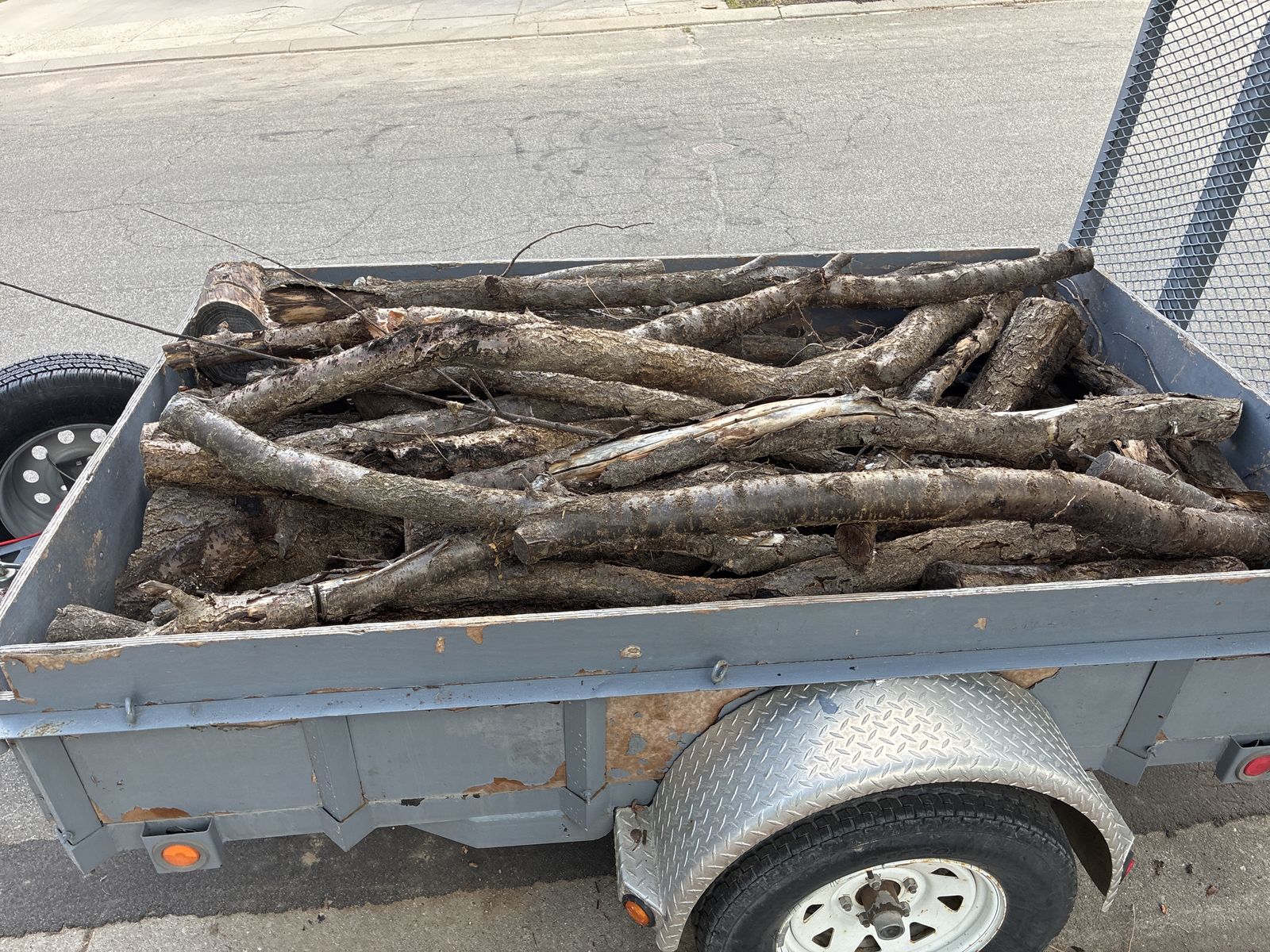 Free load of Apricot wood