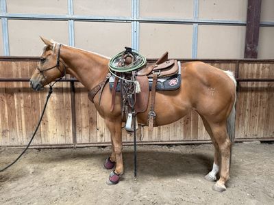 13 year old daughter of World Champion dead Broke Barrel/Rope/Ranch/Trail Horse!