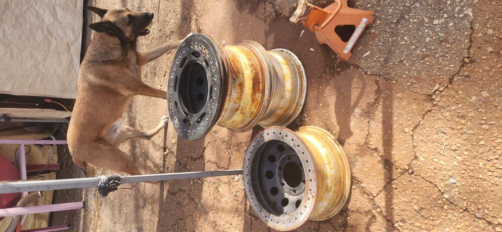 6x5.5 beadlocks 16 inch x 8 inch