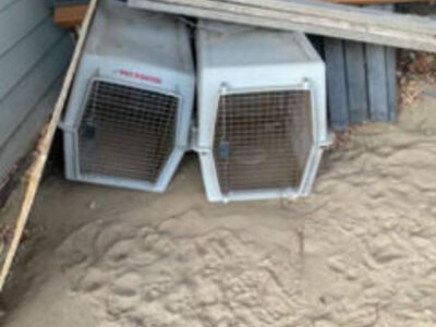 Dog Kennels