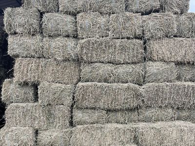 2nd crop Alfalfa Hay