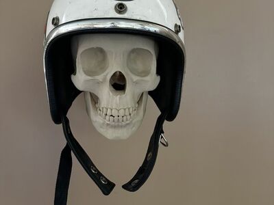 Skull Wall Mounted Helmet Holder