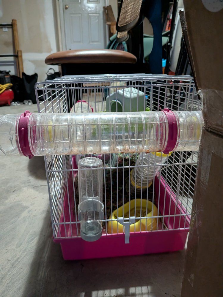 animal critter cage