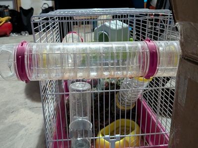 animal critter cage