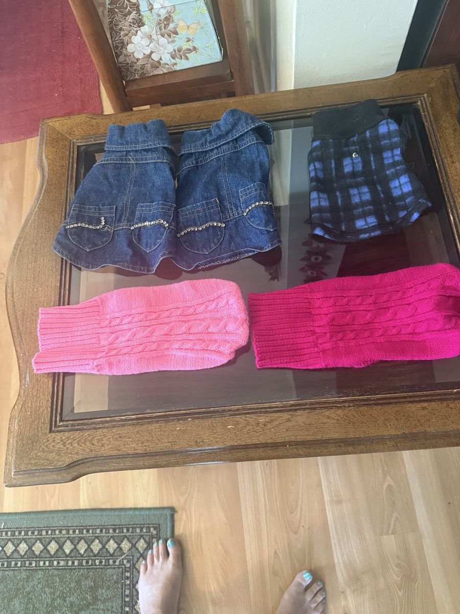 Small dog clothes