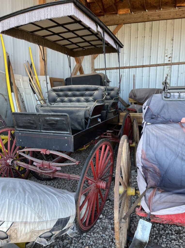 Horse Carriage: Horse Sleigh