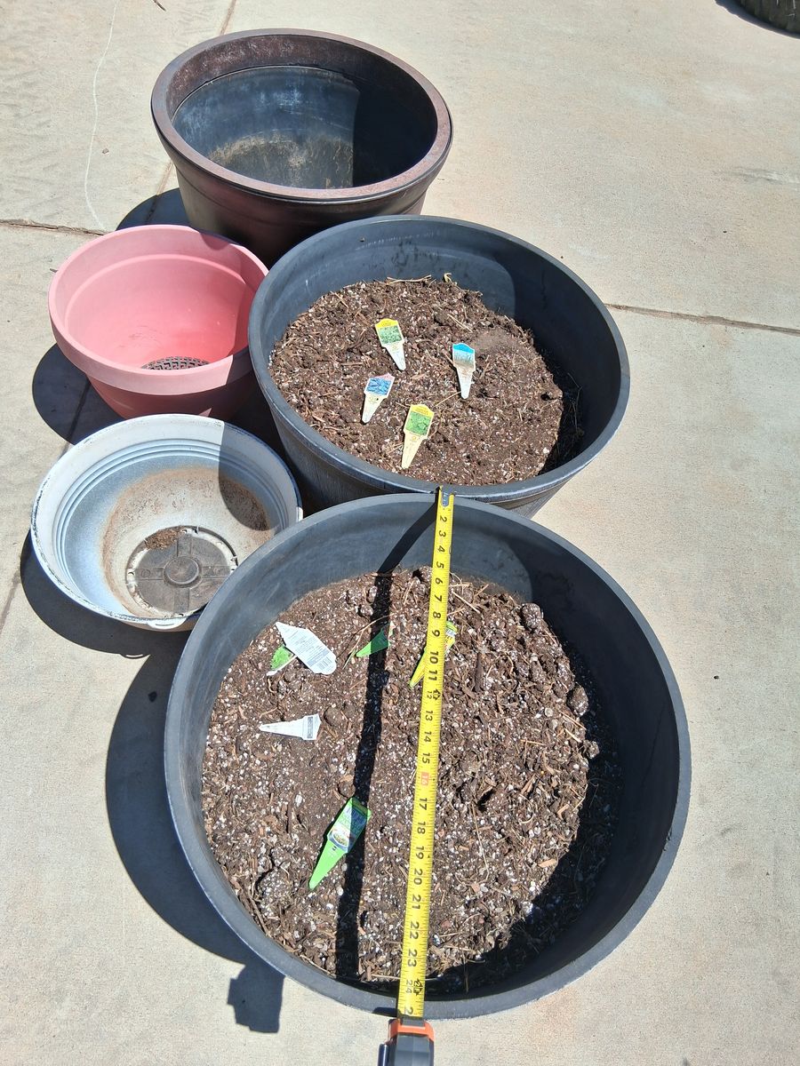 Large Pots w/topsoil