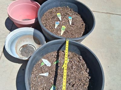Large Pots w/topsoil