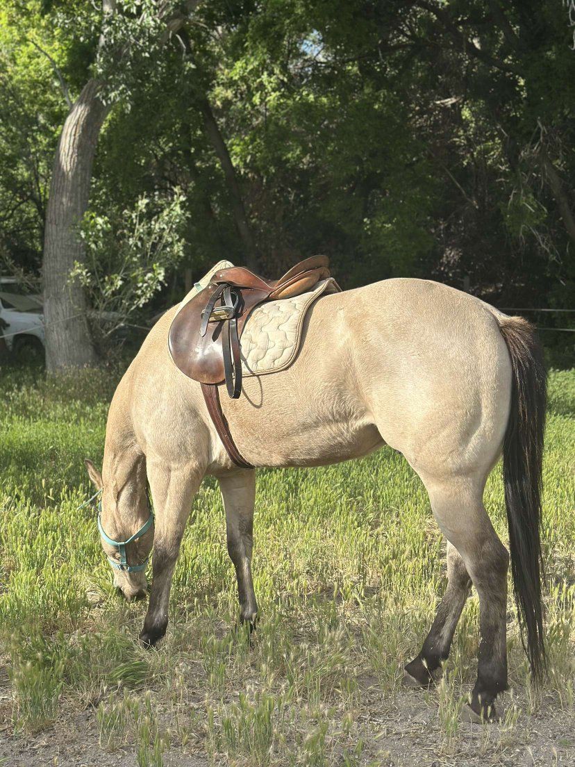 Main image 8
