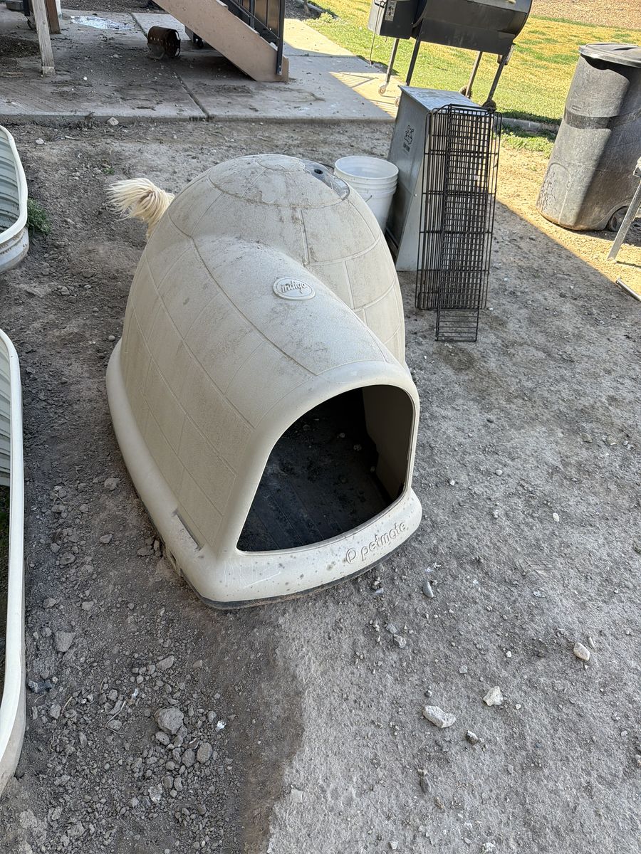 Huge Dog House