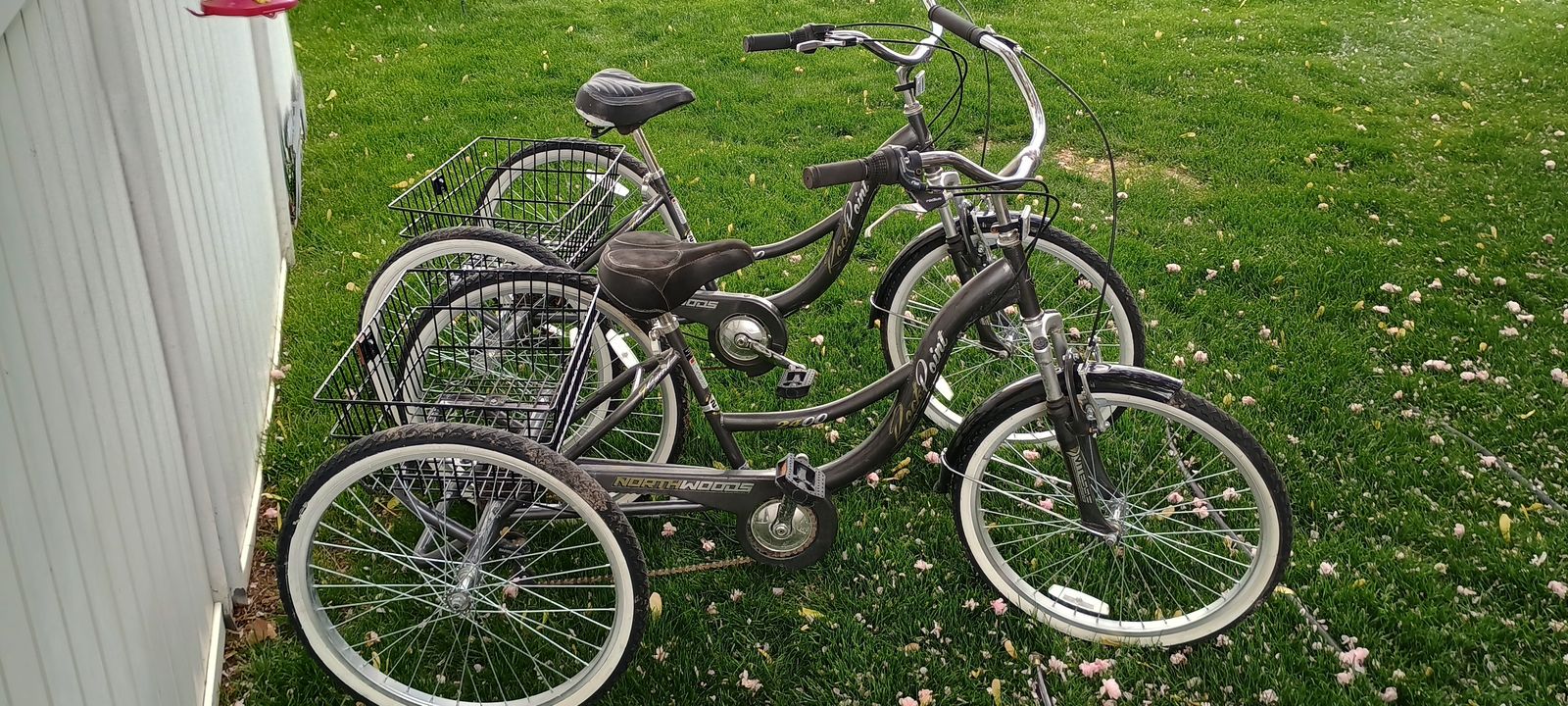 FUN FOR SUMMER