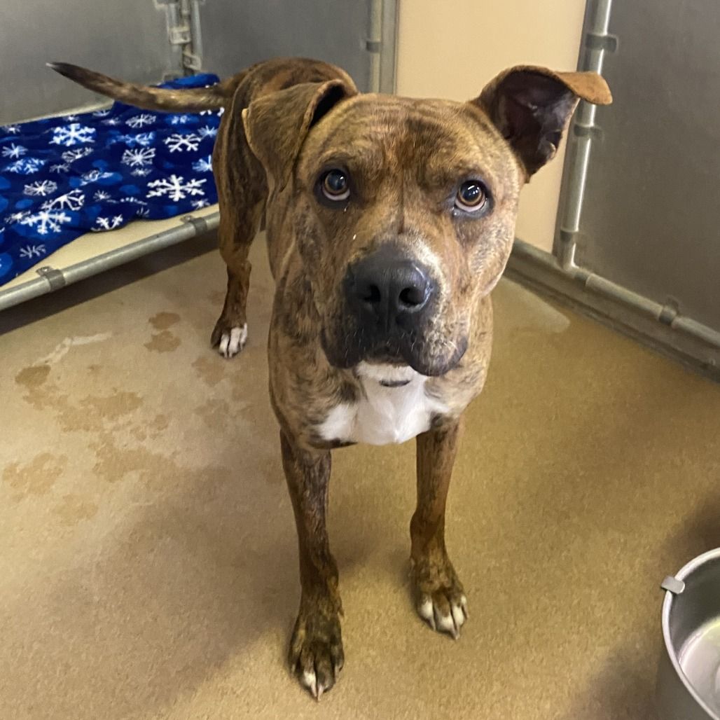 Hello my name is Julian