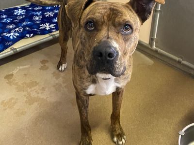 Hello my name is Julian